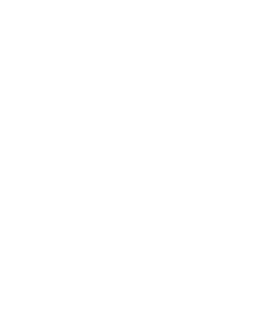 Boathouse Group Inc. logo